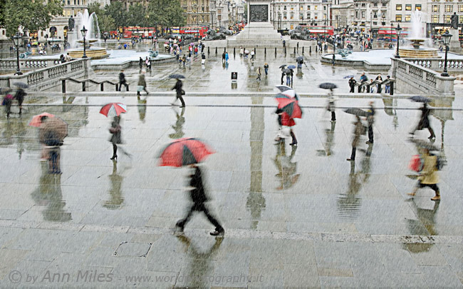 Rain in the Square